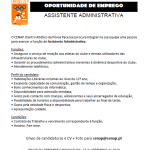 Assistente Administrativa